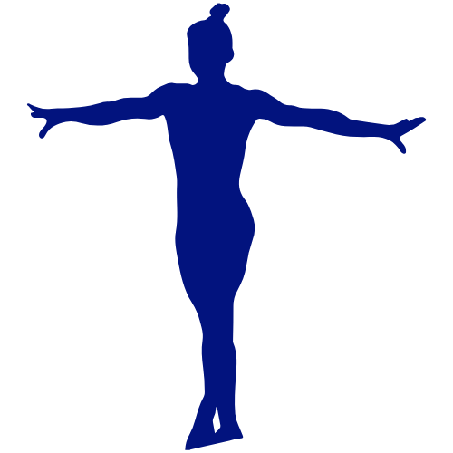 Gymnastik & Fitness