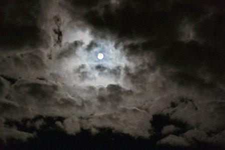 Der Fluch der ewigen Trainerin